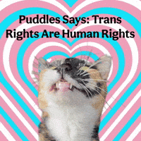 Trans Rights GIF