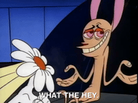 ren and stimpy nicksplat GIF