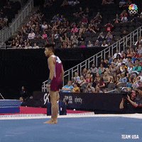 Usa Gymnastics Sport GIF by Team USA