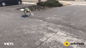wikitude slam instanttracking GIF by Wikitude