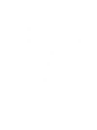 Aeistolidia Sticker by REDIRECT