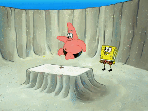 season 6 GIF by SpongeBob SquarePants