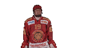 Scltigers Swipe Up Sticker by scl_tigers_official
