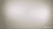 Stop What GIF by TechSmith