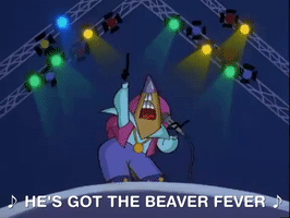 nickrewind nicksplat angry beavers GIF