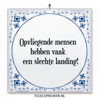 Wijsheid Landing GIF by Tegelspreuken.nl