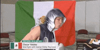 toprank fight boxing fighting fighters GIF