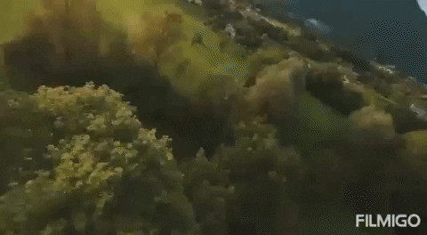 NGUWeedShirts giphyupload GIF