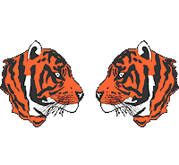 Reunions Sticker by Princeton University