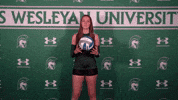 Iwuwvb24 GIF by iwusports