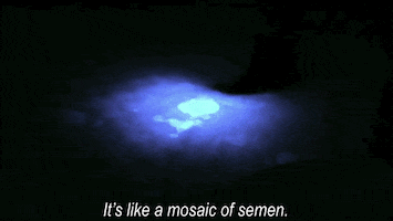 hotel hell GIF by Fox TV