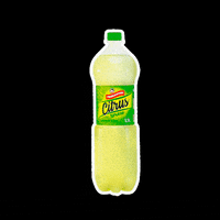 Ferraspari agua citrus ferraspari turbaina GIF