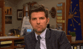 parks and recreation GIF