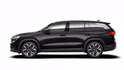 Kodiaq Black Magic GIF by Škoda Global