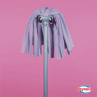 reyneralimpieza super wooo Guiño limpieza GIF