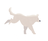 animation running GIF