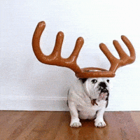 play reindeer GIF