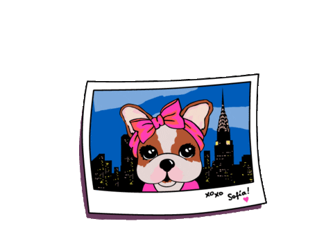 Travel Photo Sticker by simones