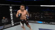 ufc 207 GIF