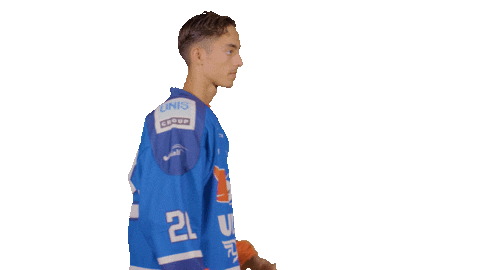 Hockey De Sticker by UNIS Flyers