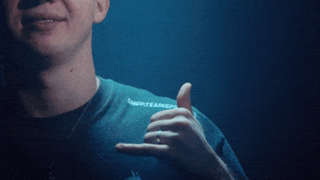 Hong Kong Esports GIF by BLAST