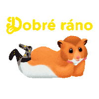 Hamster Socks Sticker by Dedoles