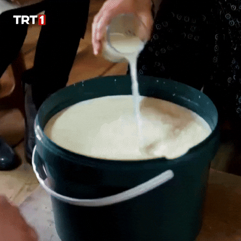 Milk Maya GIF by TRT