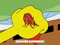 season 5 episode 10 GIF by SpongeBob SquarePants