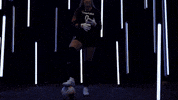 North Carolina GIF by UNC Tar Heels