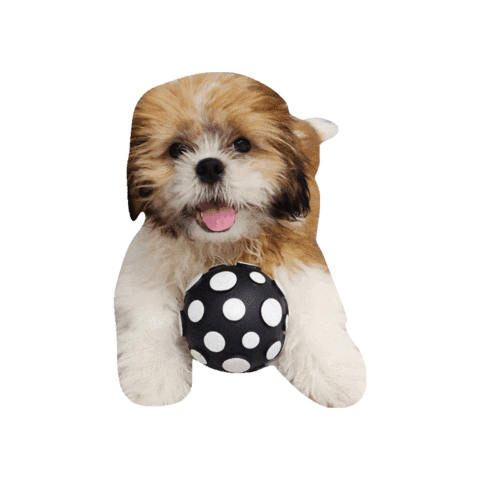 Dog Sticker by Pet Pipers