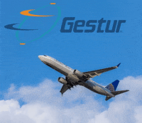 GESTURRD gestur3 GIF