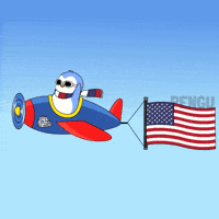 United States Penguin GIF by Pudgy Penguins