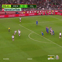 el tri soccer GIF by La Suerte No Juega