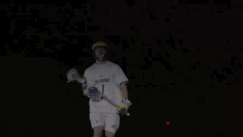 GIF by Delaware Blue Hens