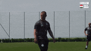Shaun Maloney Football GIF by Wigan Athletic