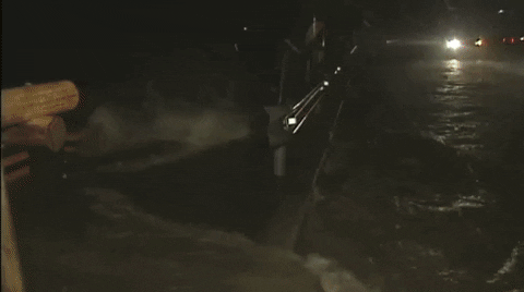 qwerpoiu22ppop giphyupload GIF