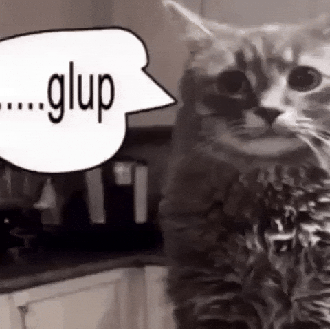 Funny Cat Gulp GIF