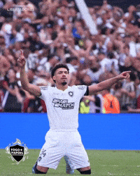 Libertadores Bfr GIF