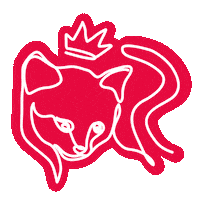 I-CAD cat chat cute cat identification Sticker