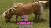 Sam Whistle GIF by KPISS.FM