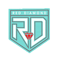 Disco Brooklyn Sticker by F45 Upper Thomson