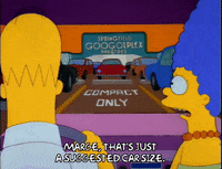 Season 3 Episode 20 GIF by The Simpsons