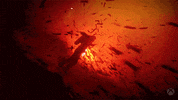 North Sea Loop GIF by Xbox