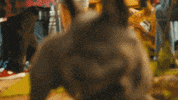 Rock Band Party GIF by modernlove.