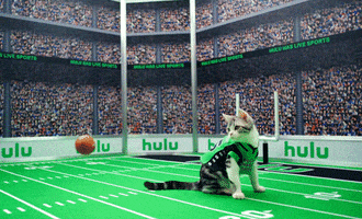 Todd Gurley Cat GIF by HULU