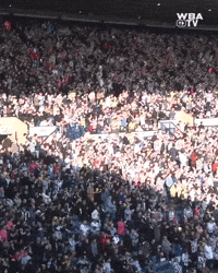 West Brom Wba GIF by West Bromwich Albion