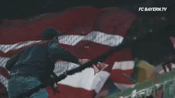 allianz arena fans GIF by FC Bayern Munich