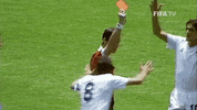 Go World Cup GIF by FIFA