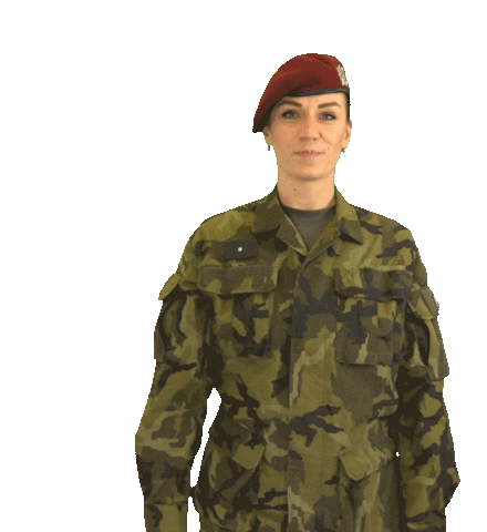 armadaceskerepubliky giphyupload question army czech Sticker