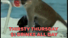 thirsty thursday GIF